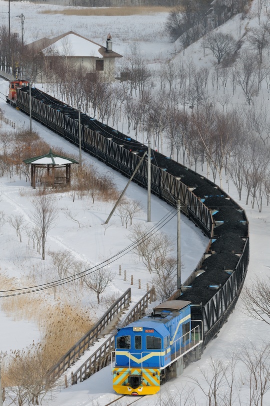 DE601運炭列車